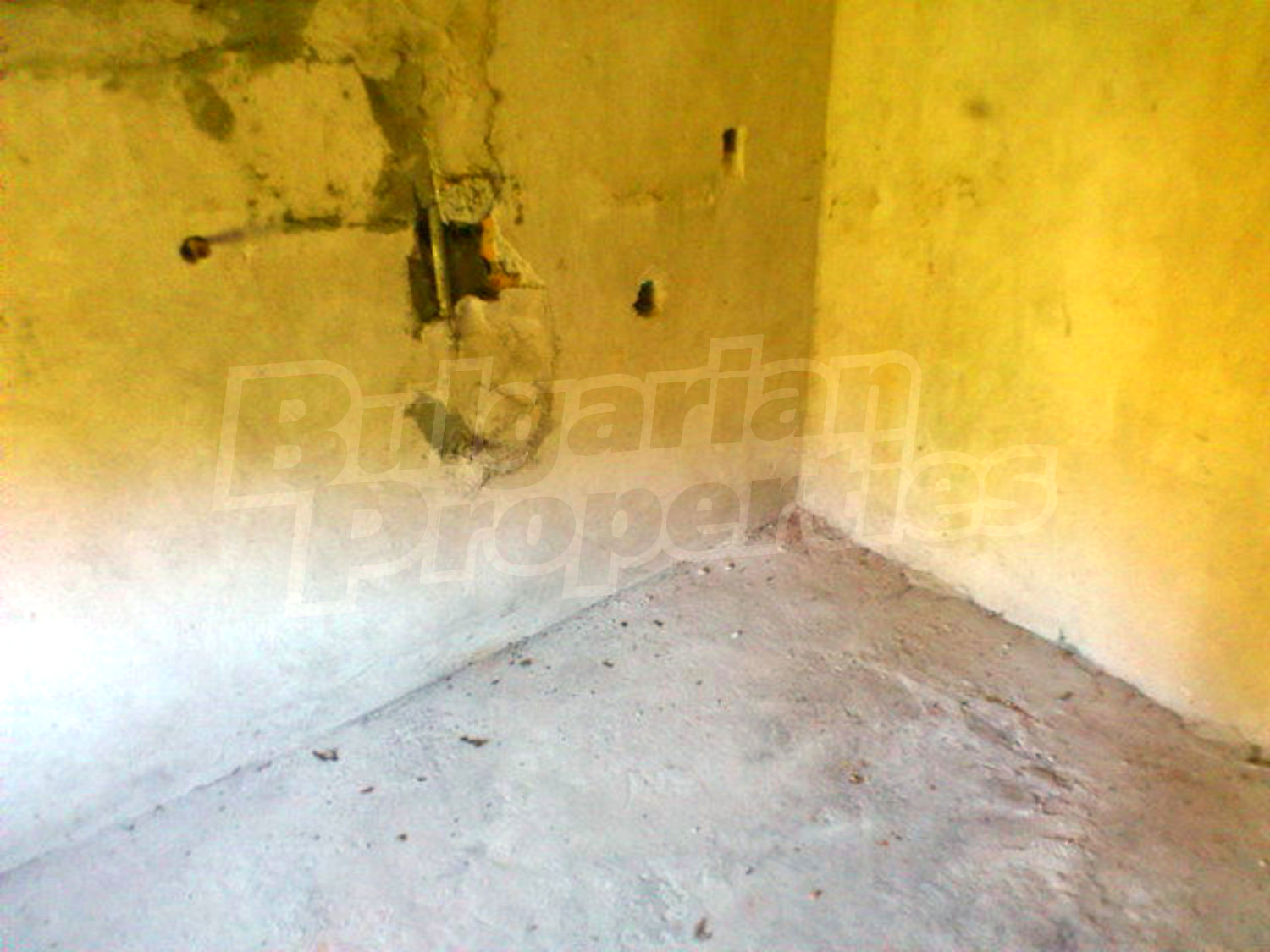Gallery Picture 38
