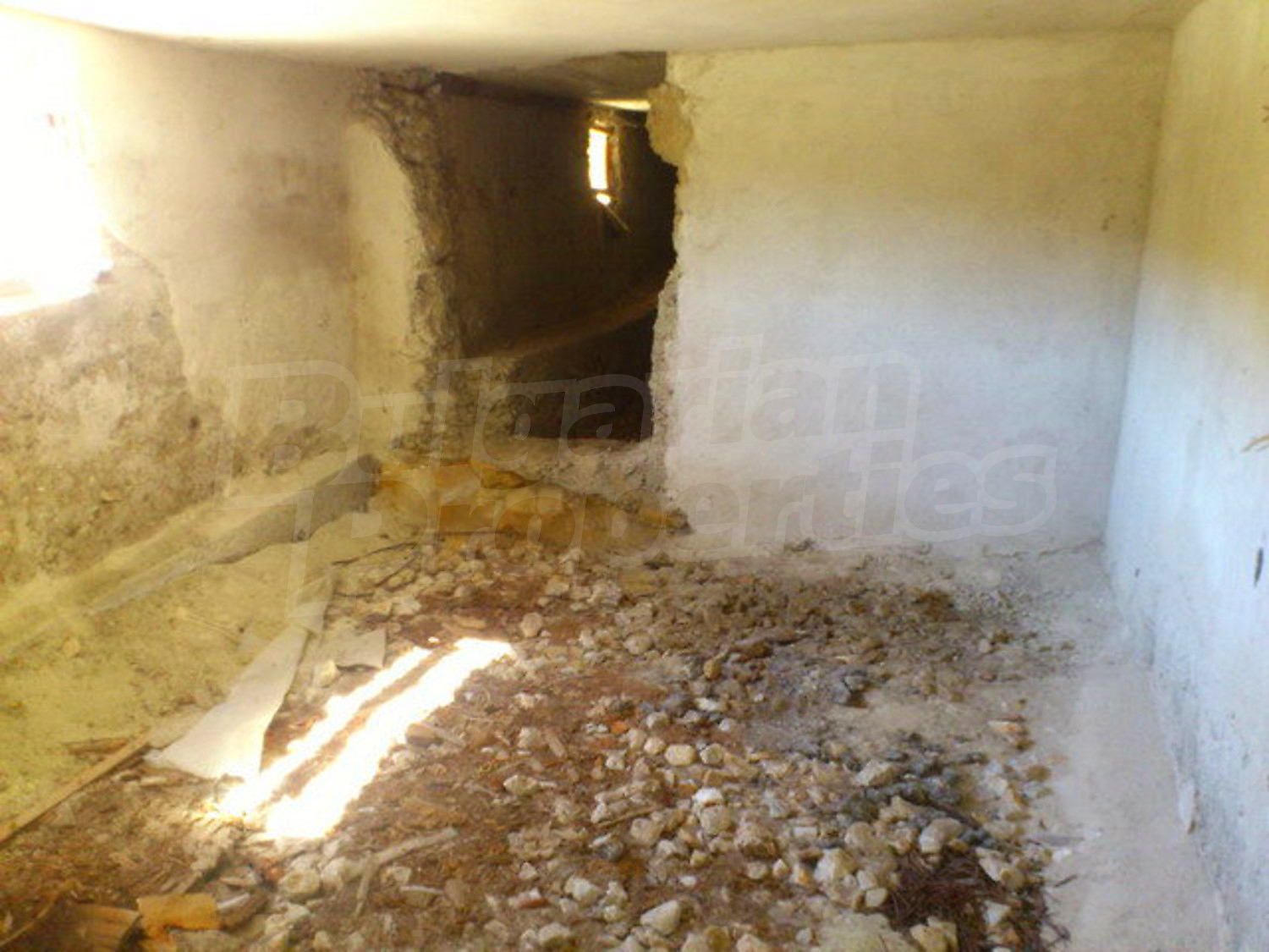 Gallery Picture 48