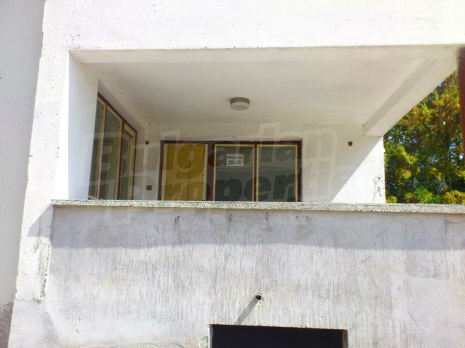 Gallery Picture 51