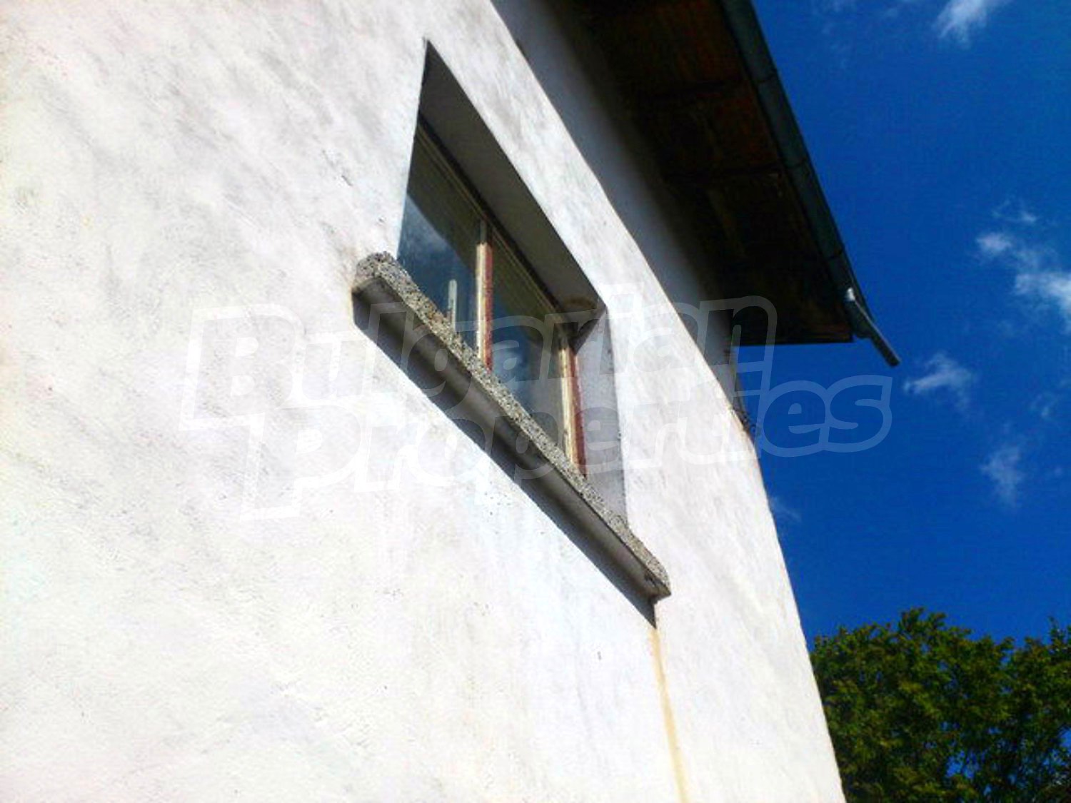 Gallery Picture 53