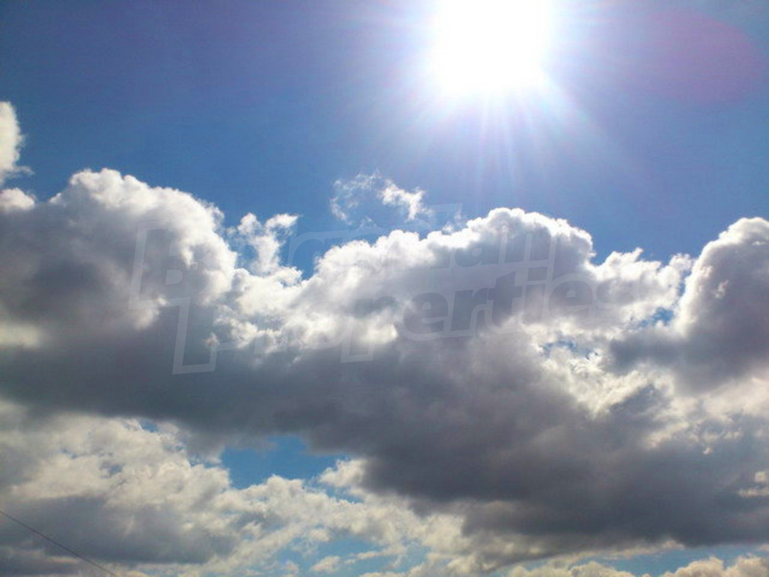 Gallery Picture 65