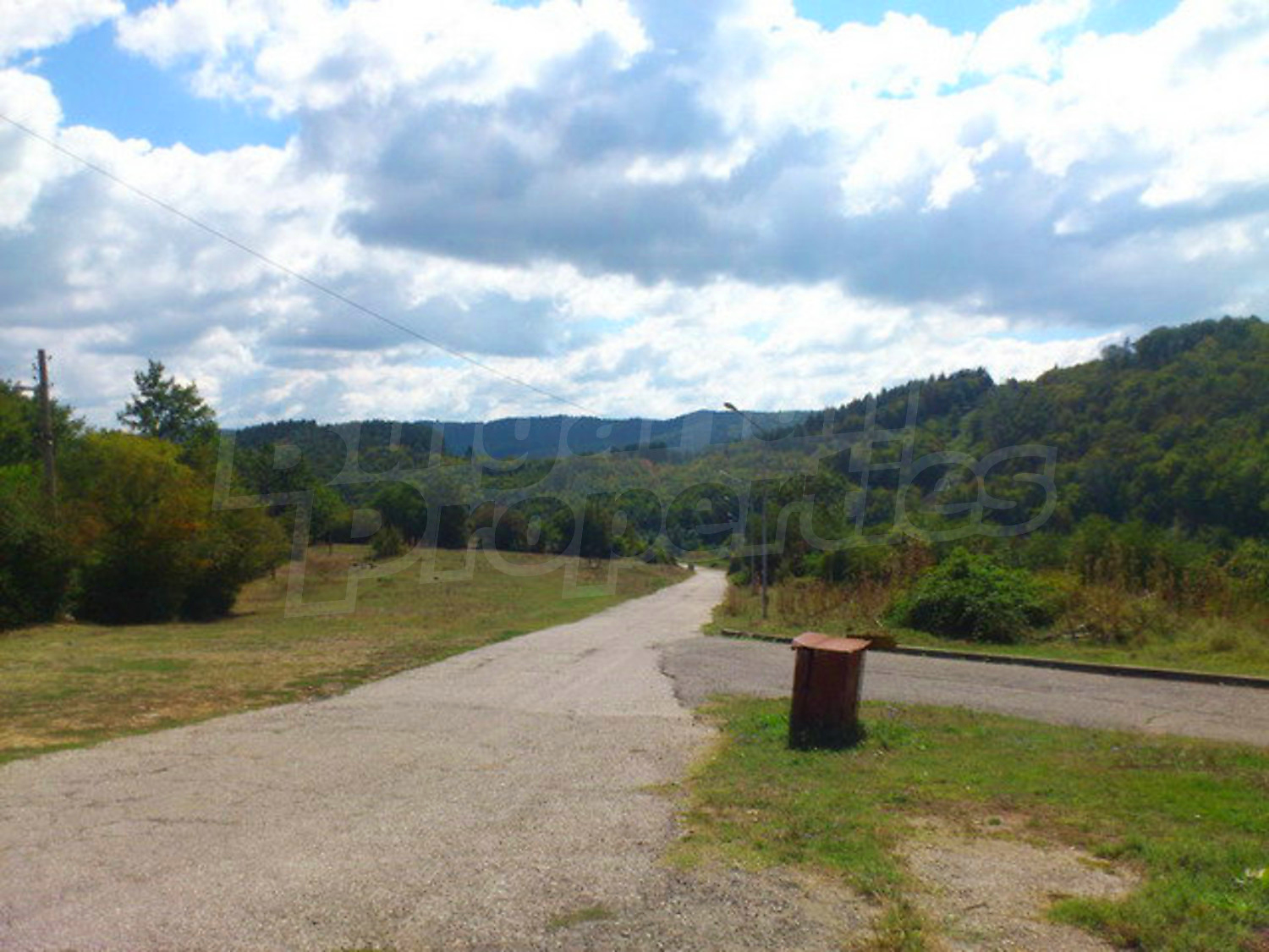 Gallery Picture 67
