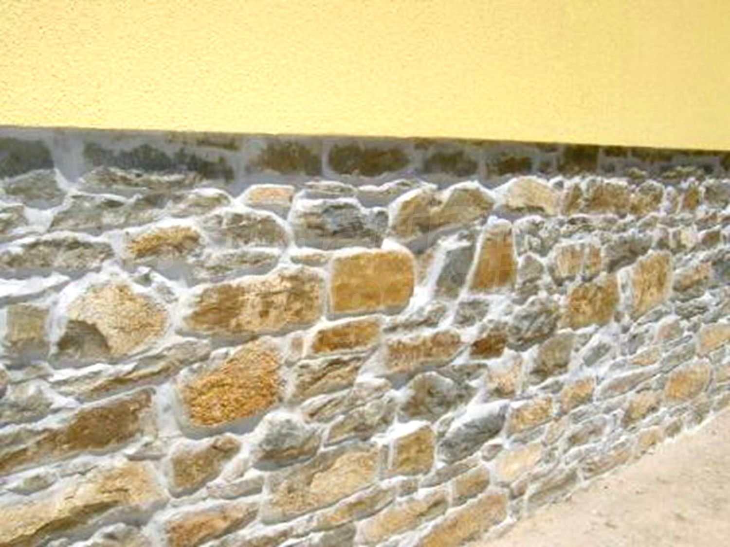 Gallery Picture 10