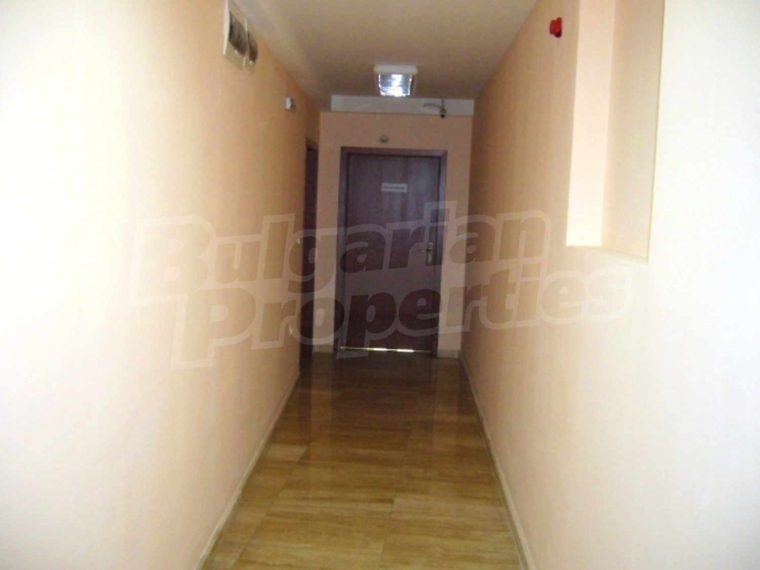 Gallery Picture 5