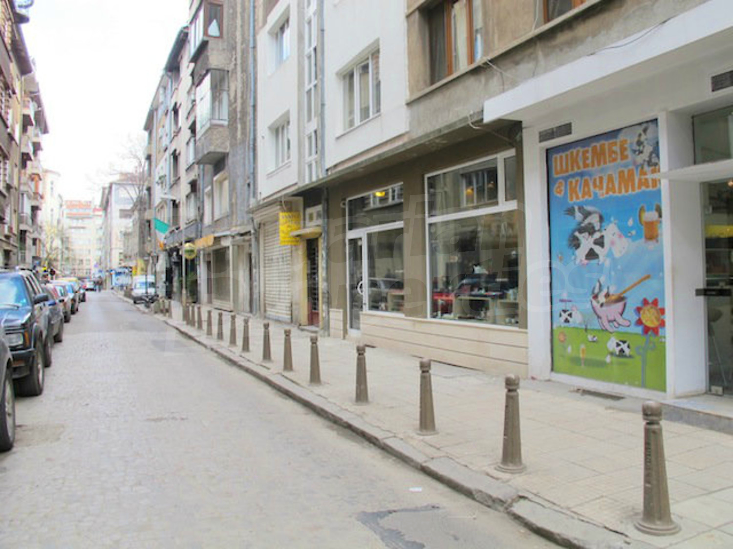 Gallery Picture 4