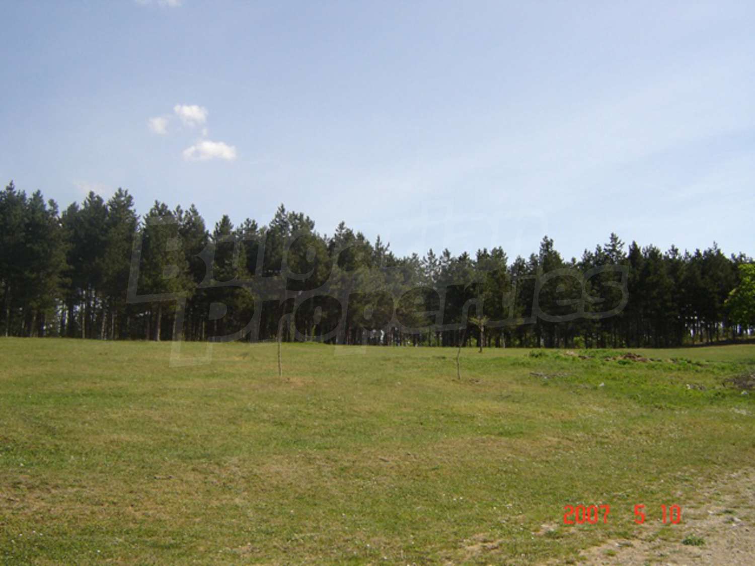 Gallery Picture 10