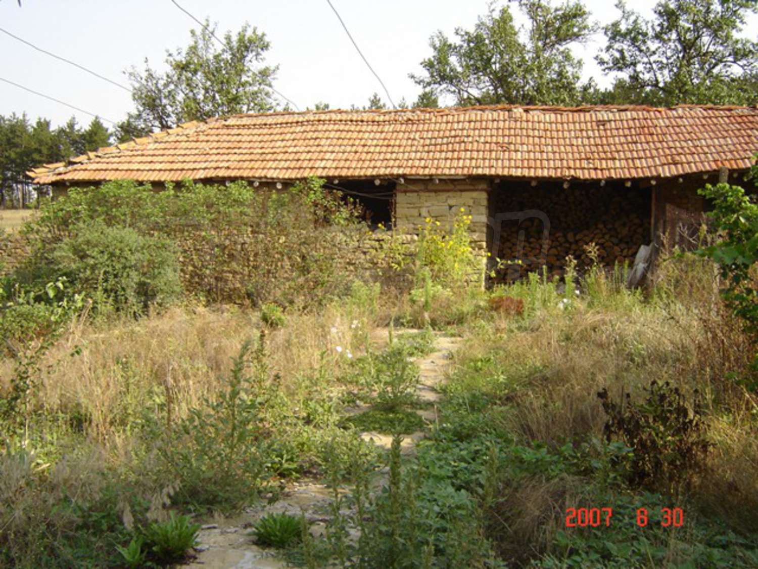 Gallery Picture 9