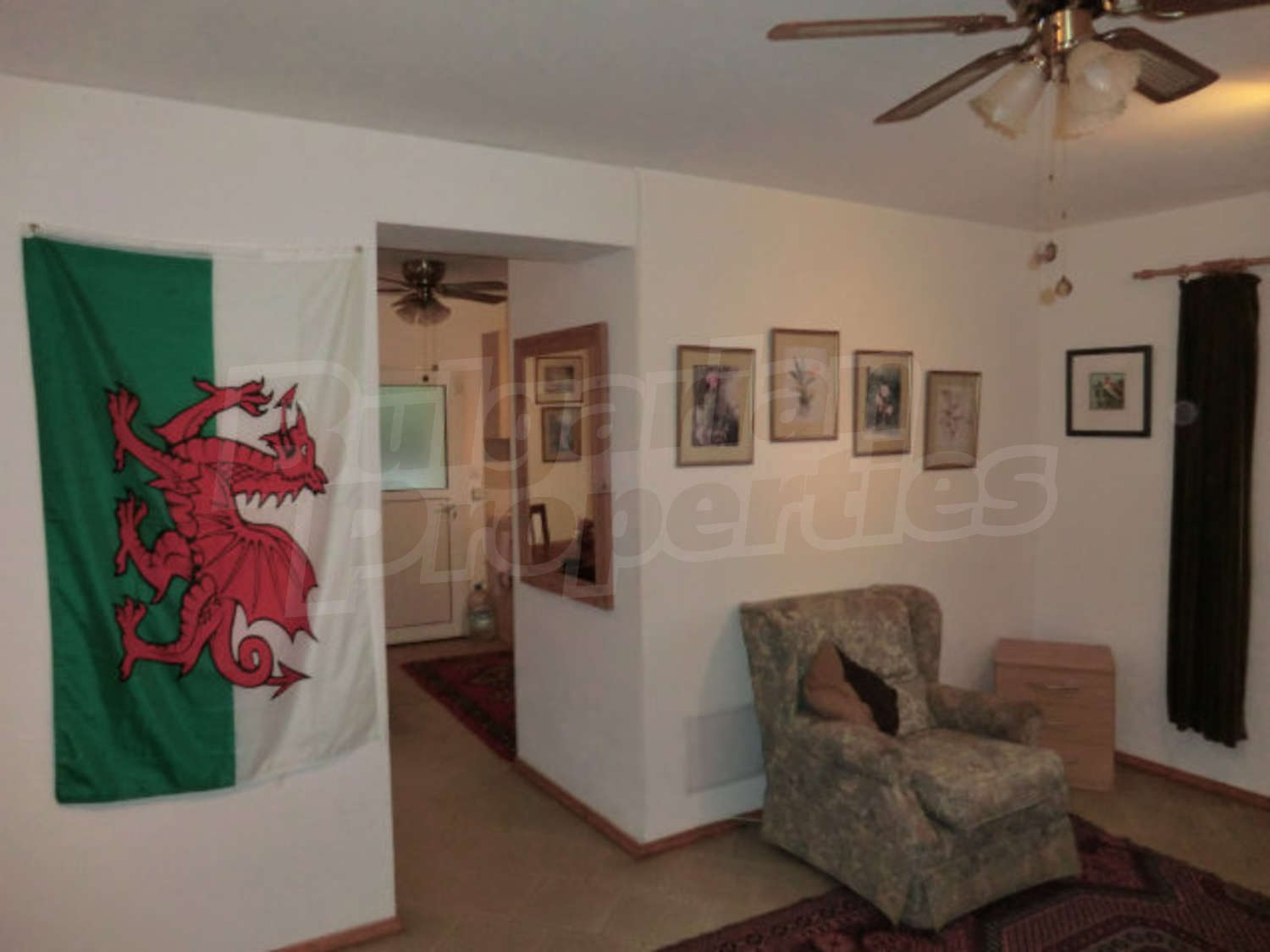 Gallery Picture 12