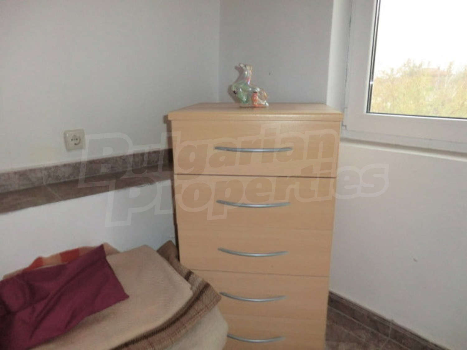 Gallery Picture 33