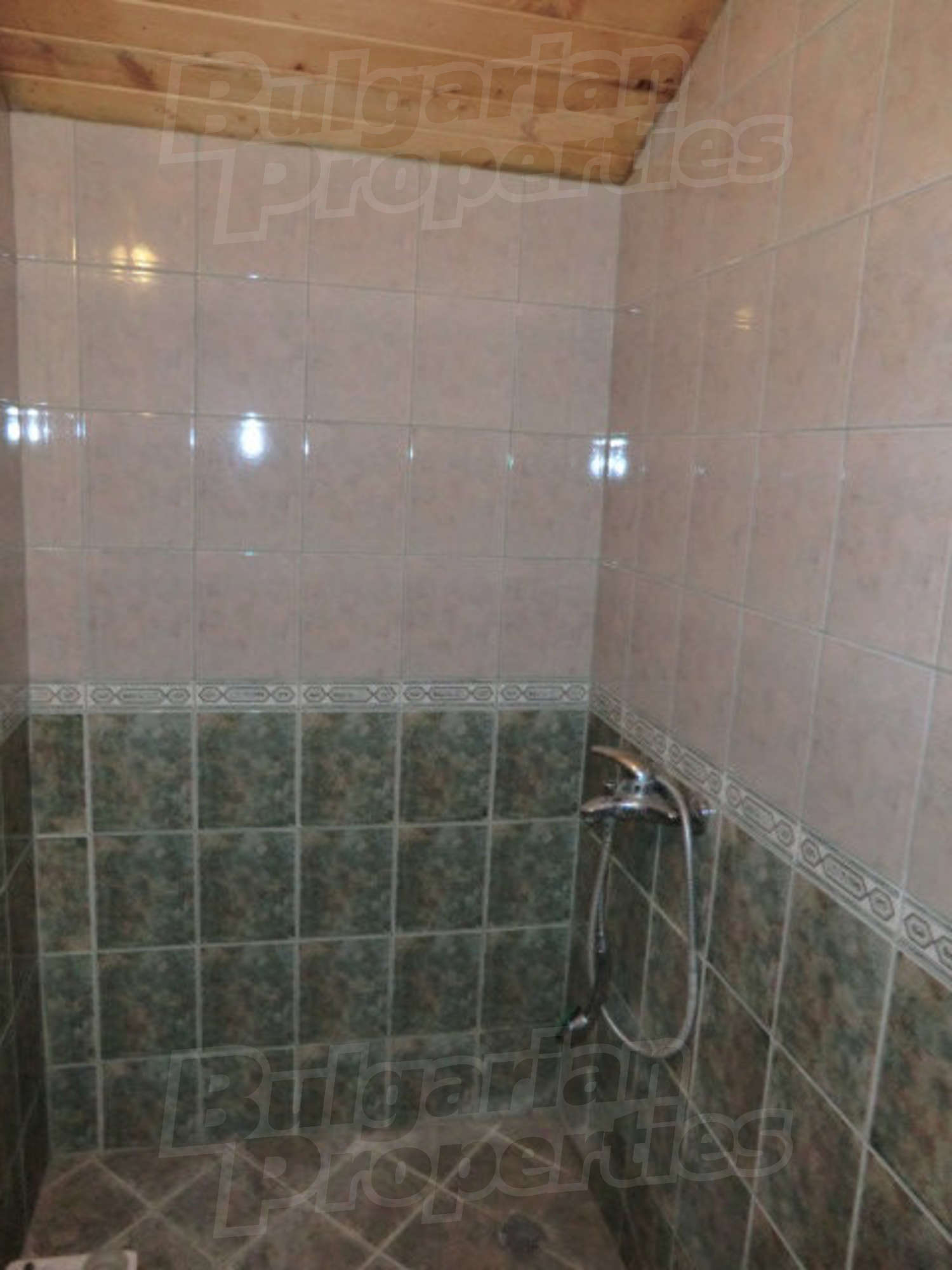 Gallery Picture 46