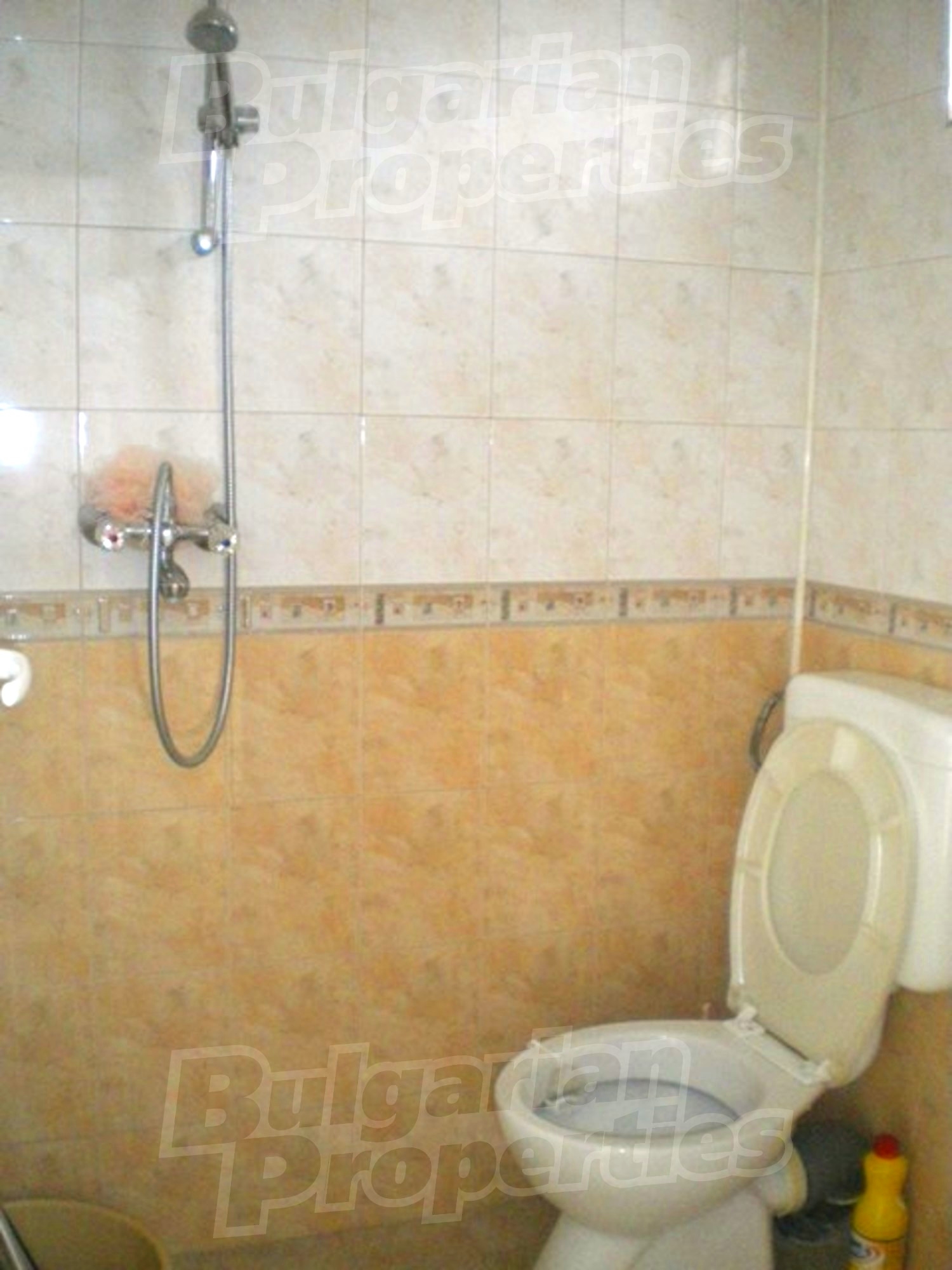 Gallery Picture 15