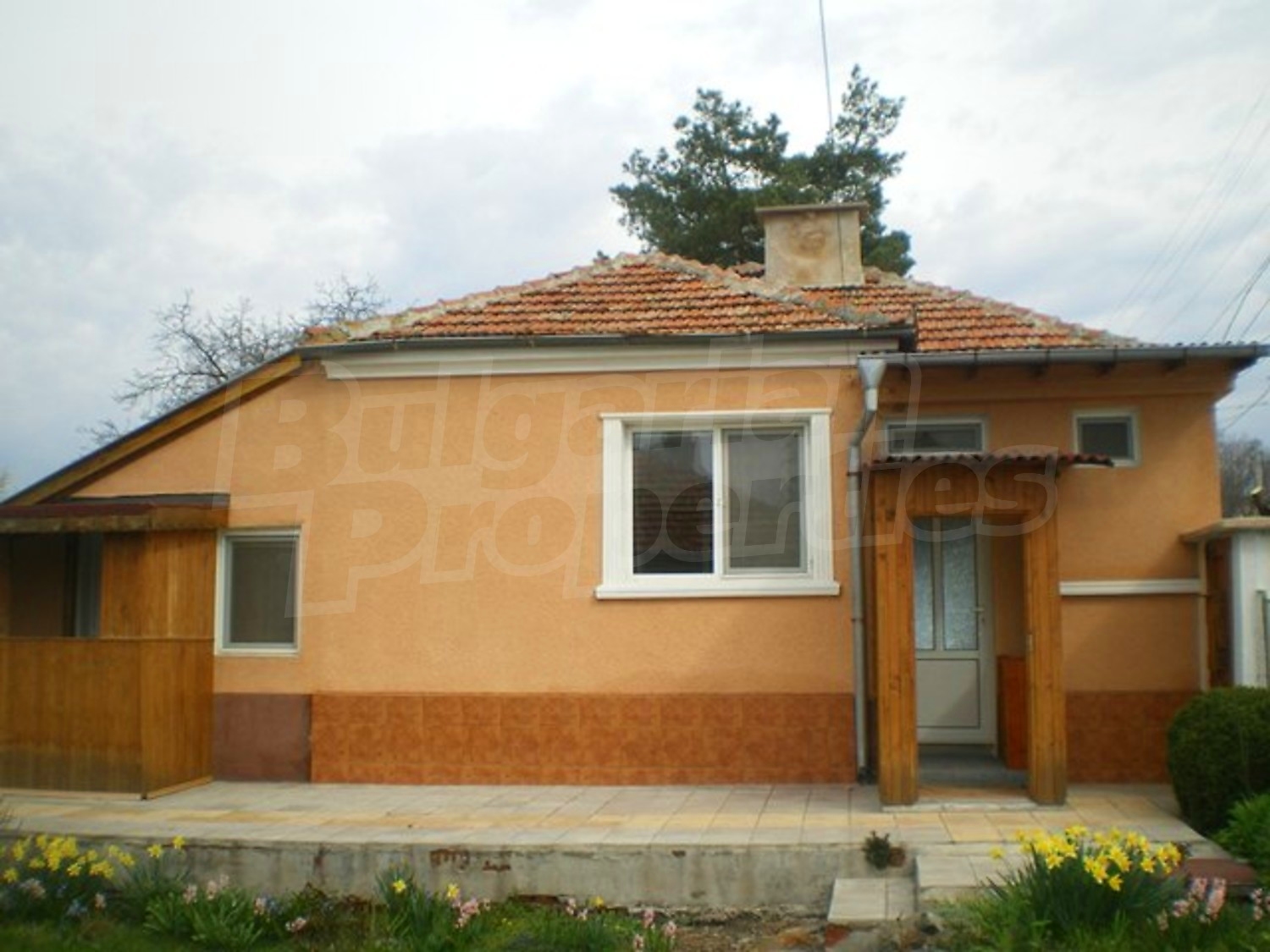 Gallery Picture 17