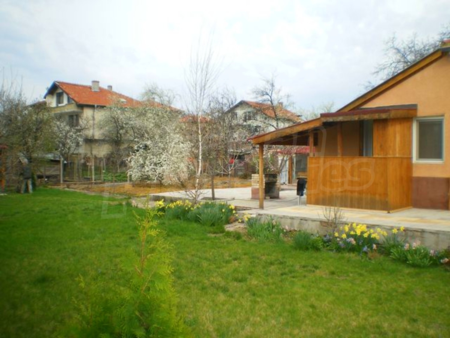 Gallery Picture 18