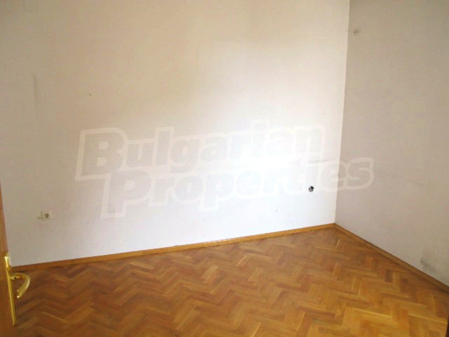 Gallery Picture 10
