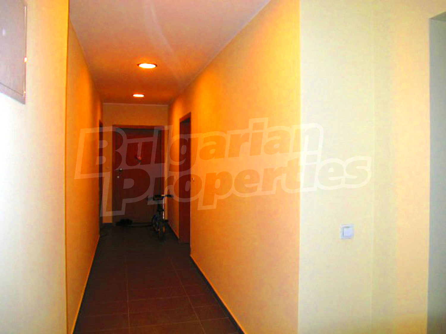 Gallery Picture 20