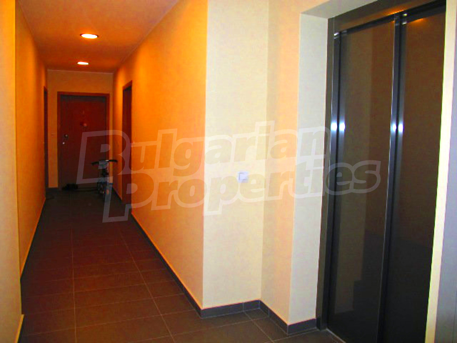 Gallery Picture 21