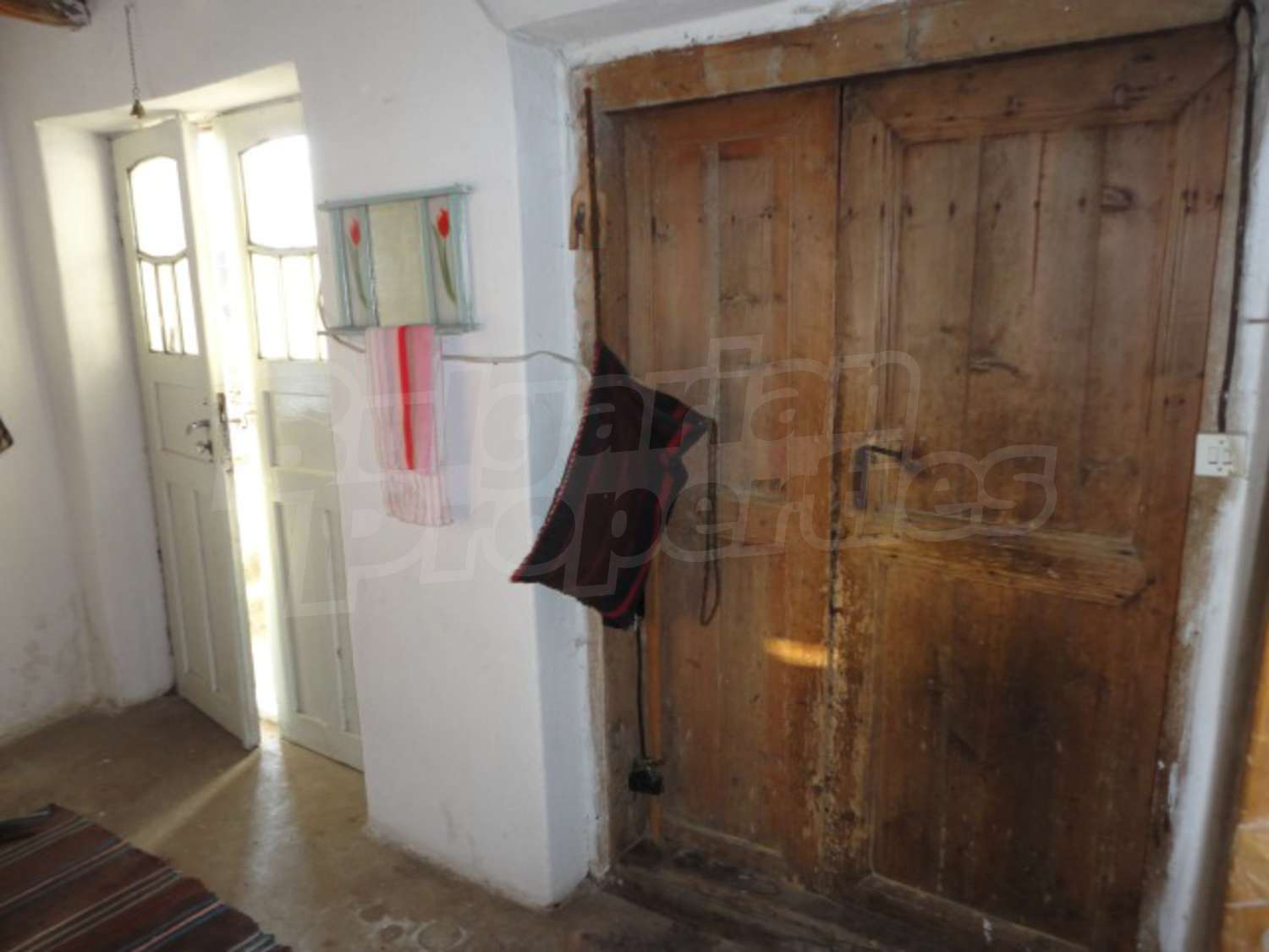 Gallery Picture 12