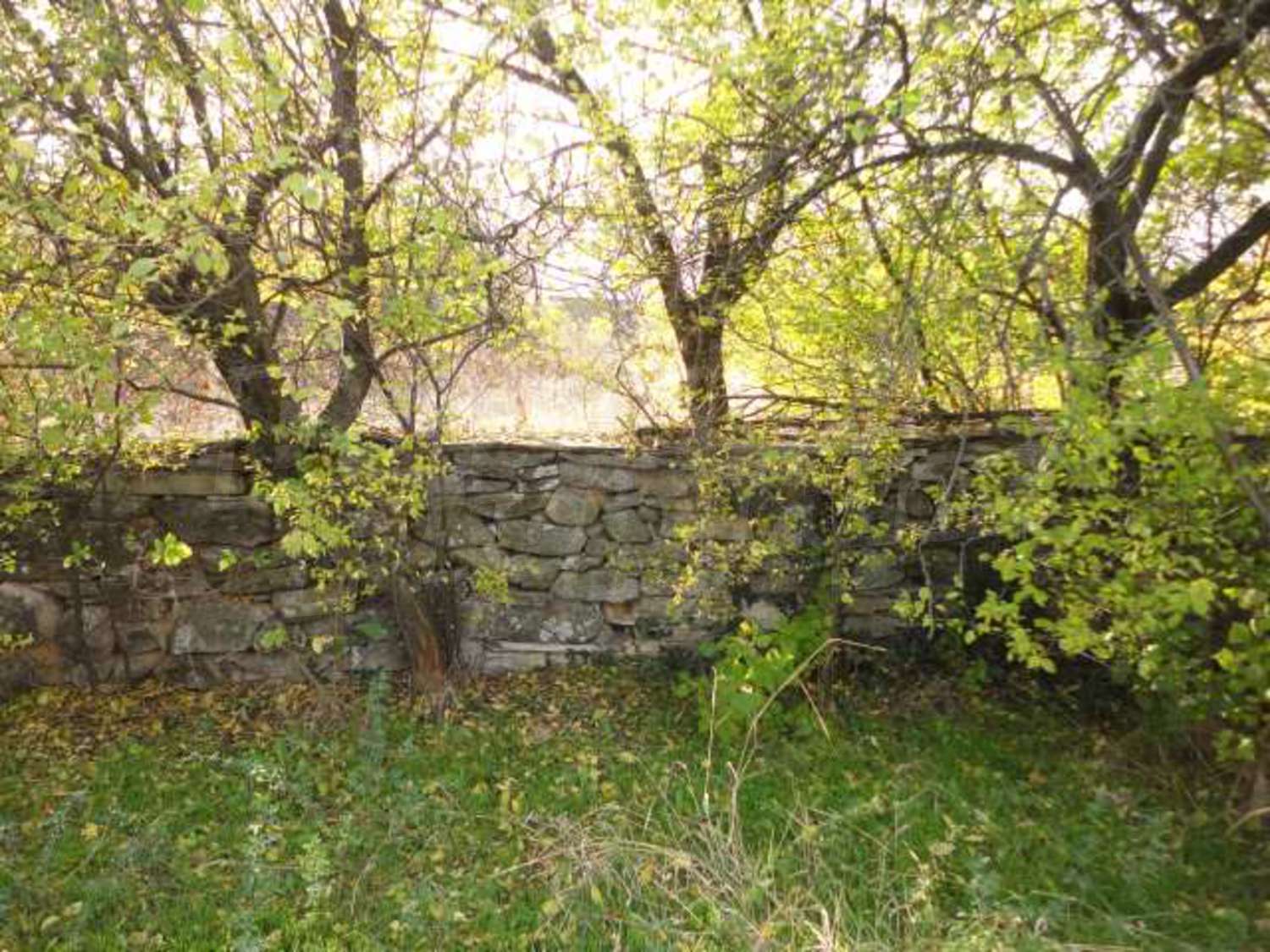 Gallery Picture 37