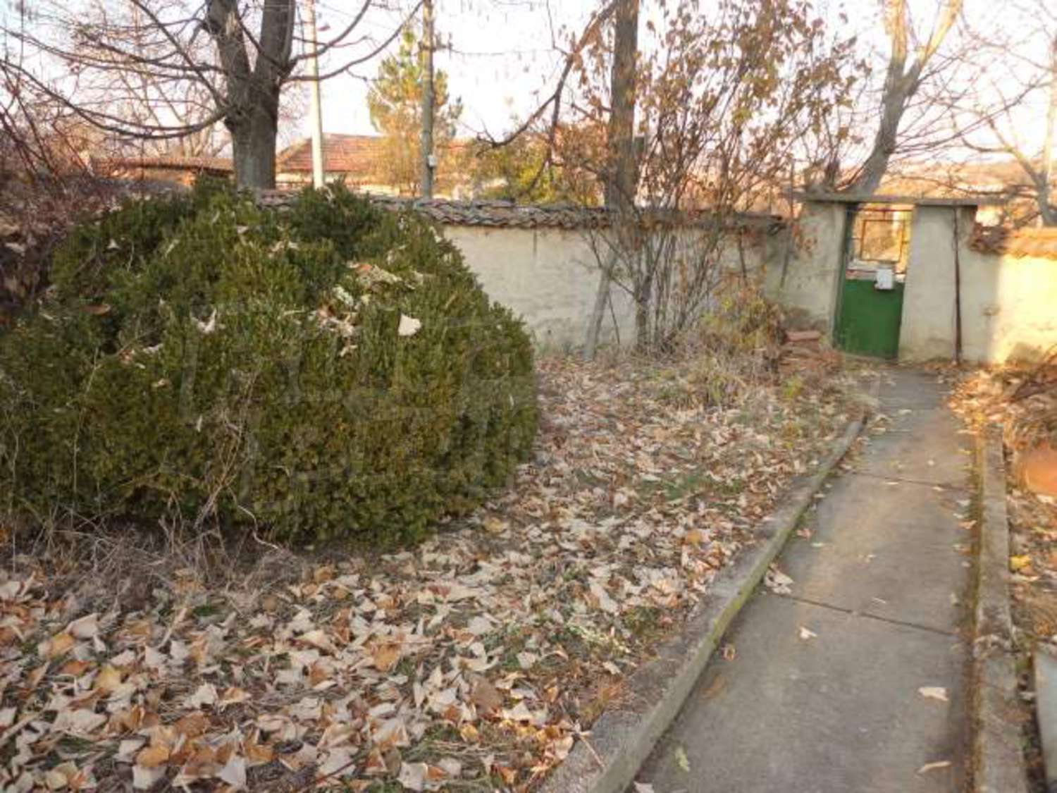 Gallery Picture 44