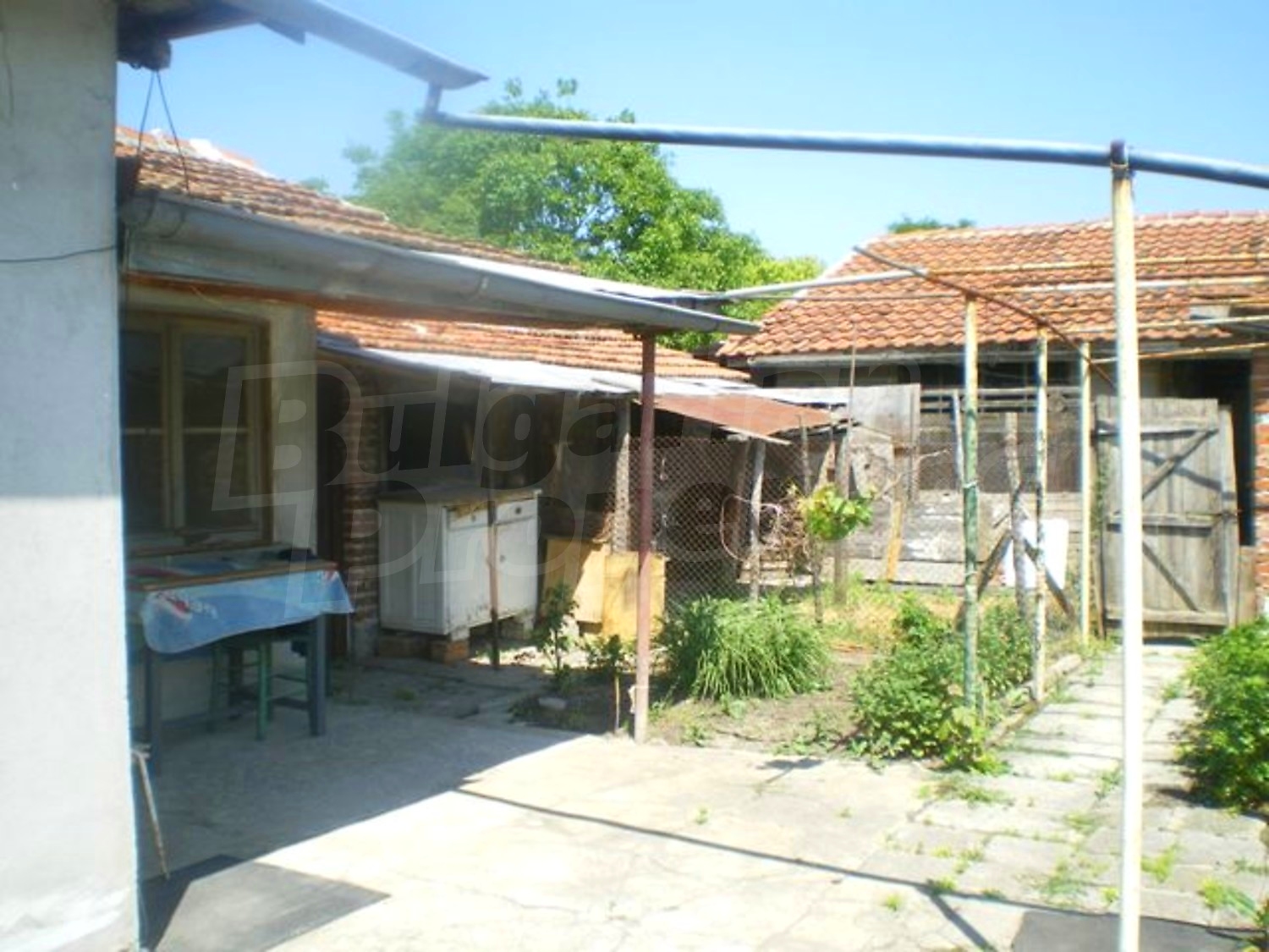 Gallery Picture 17