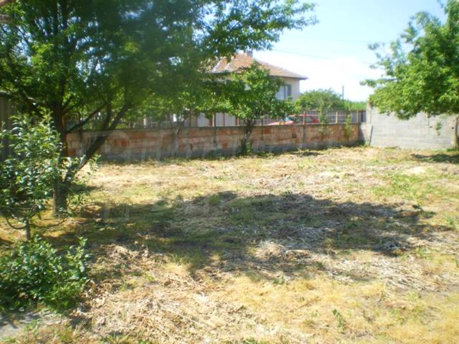 Gallery Picture 18