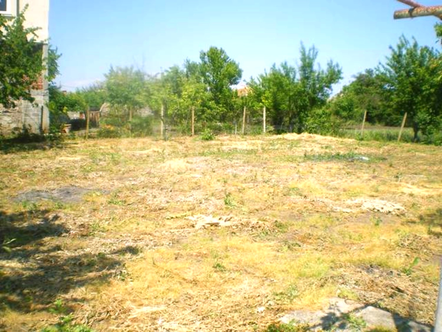 Gallery Picture 19