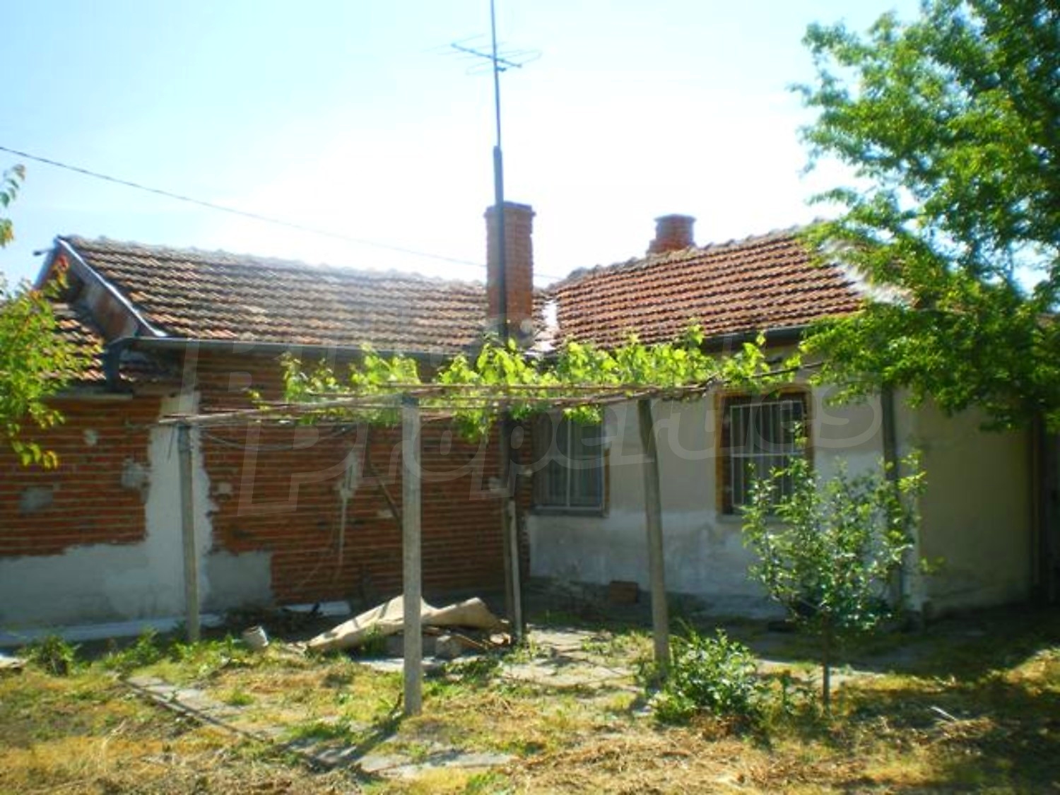 Gallery Picture 23