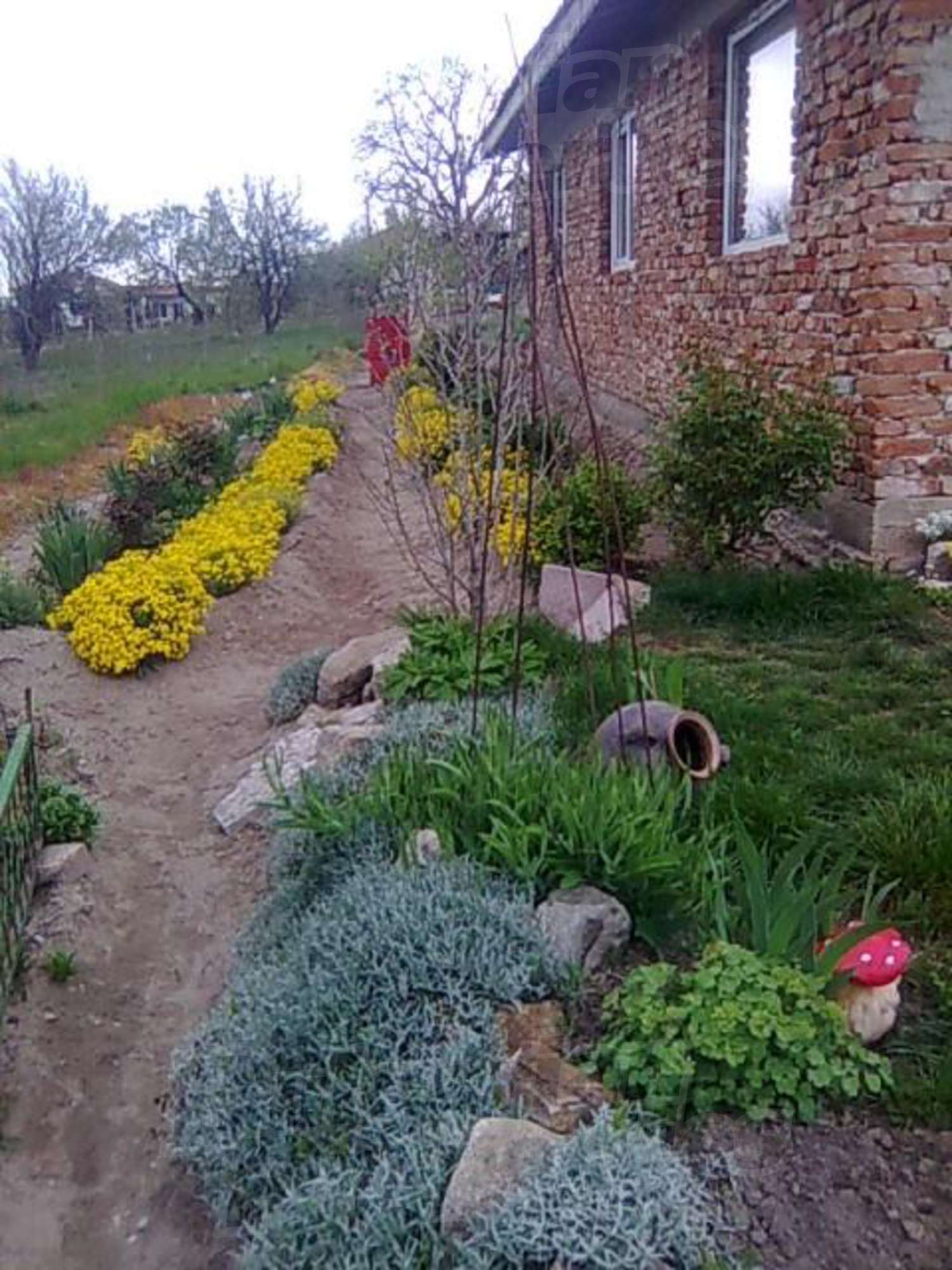 Gallery Picture 19