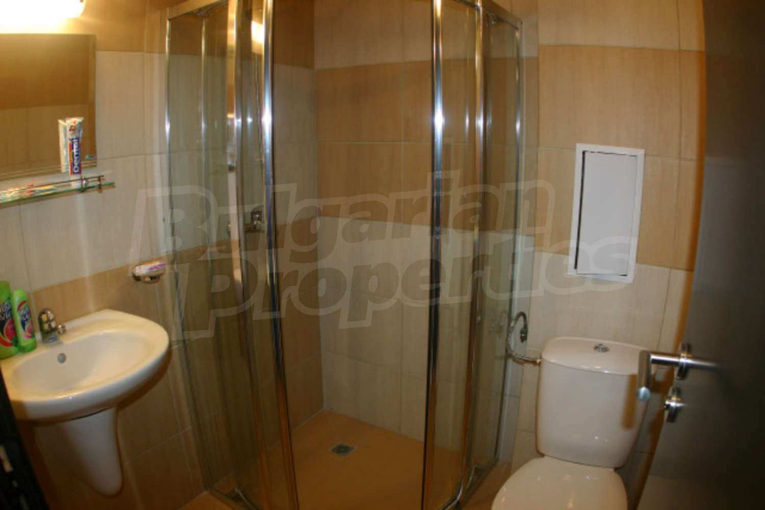 Gallery Picture 6