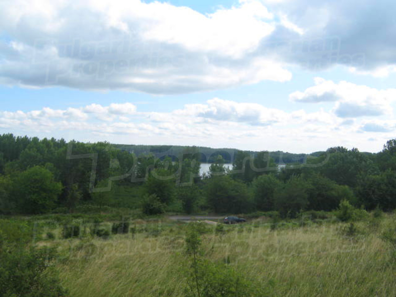 Gallery Picture 2