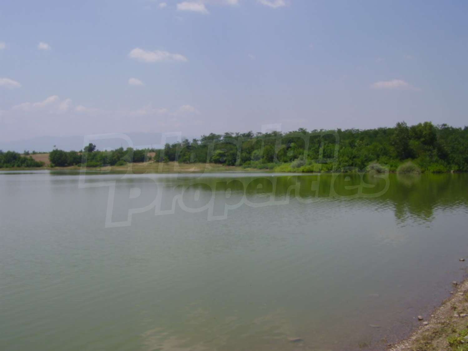 Gallery Picture 17