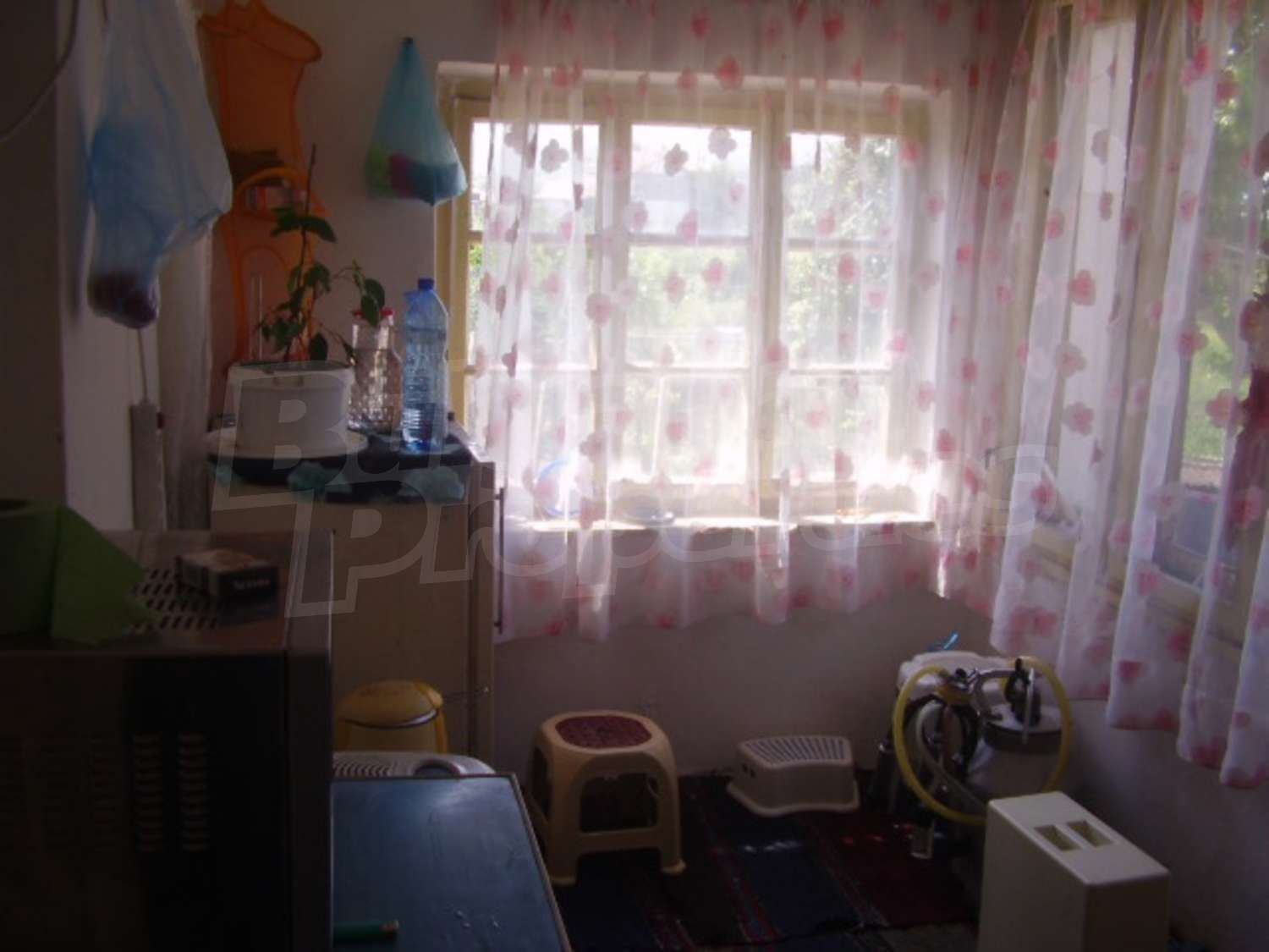 Gallery Picture 8