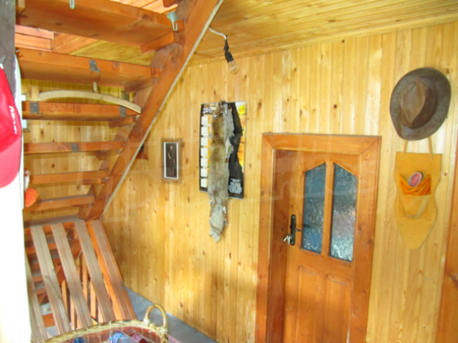 Gallery Picture 28