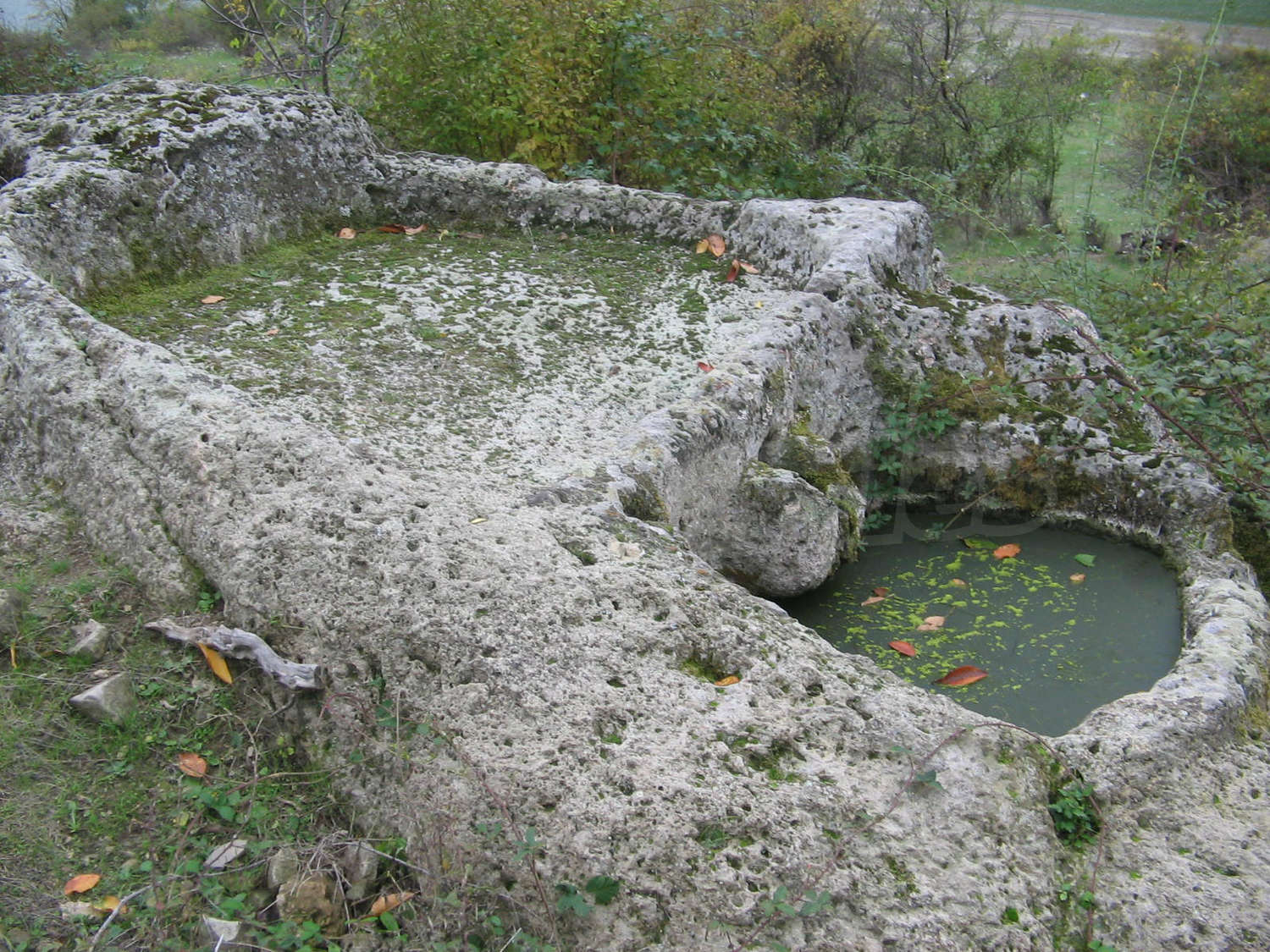 Gallery Picture 10