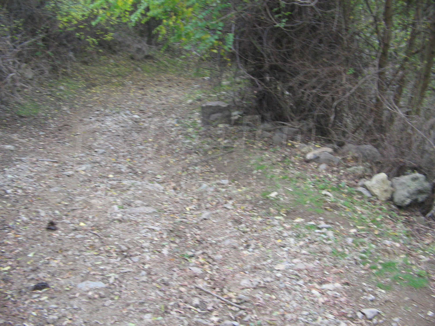Gallery Picture 16