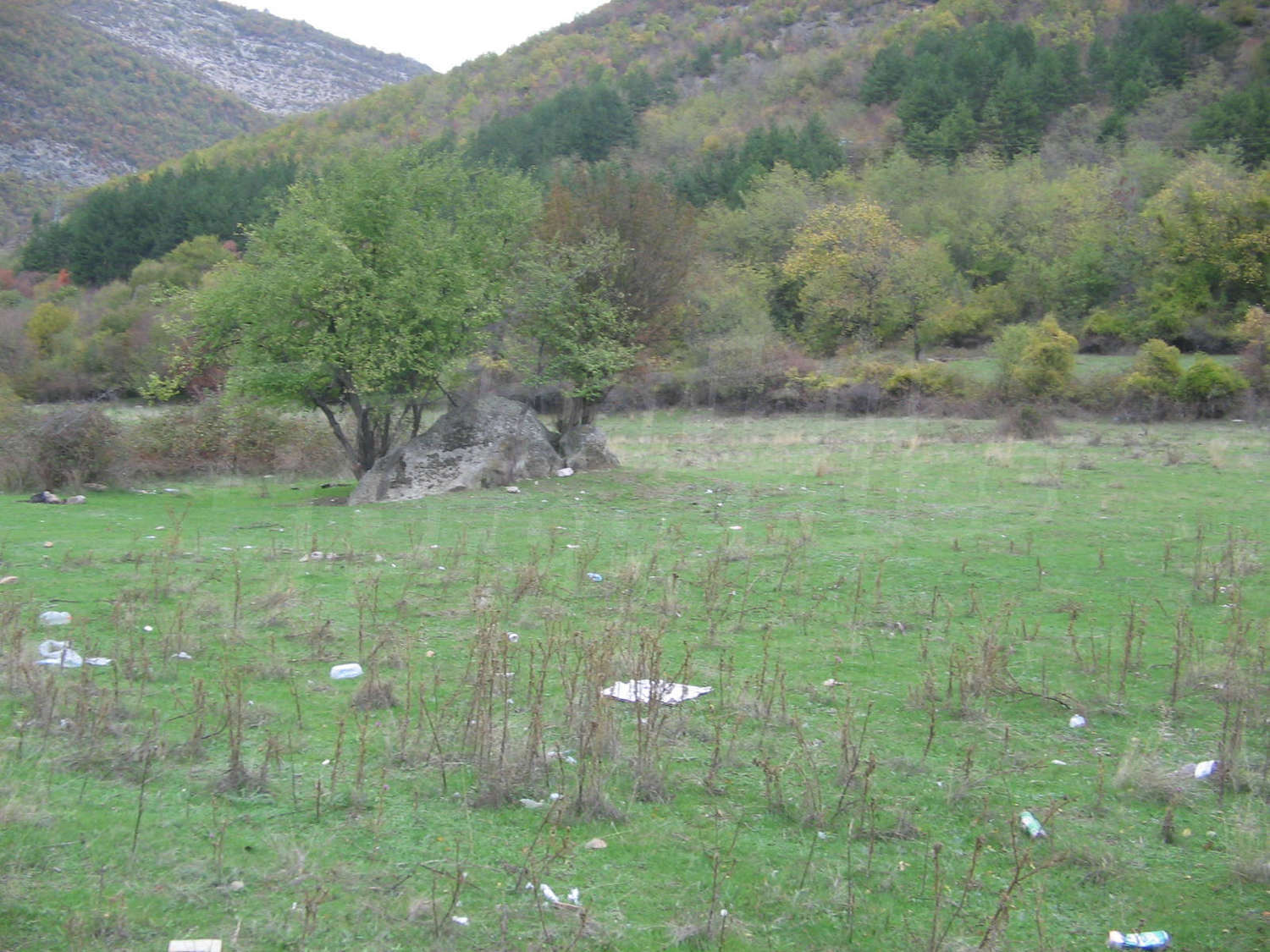 Gallery Picture 21