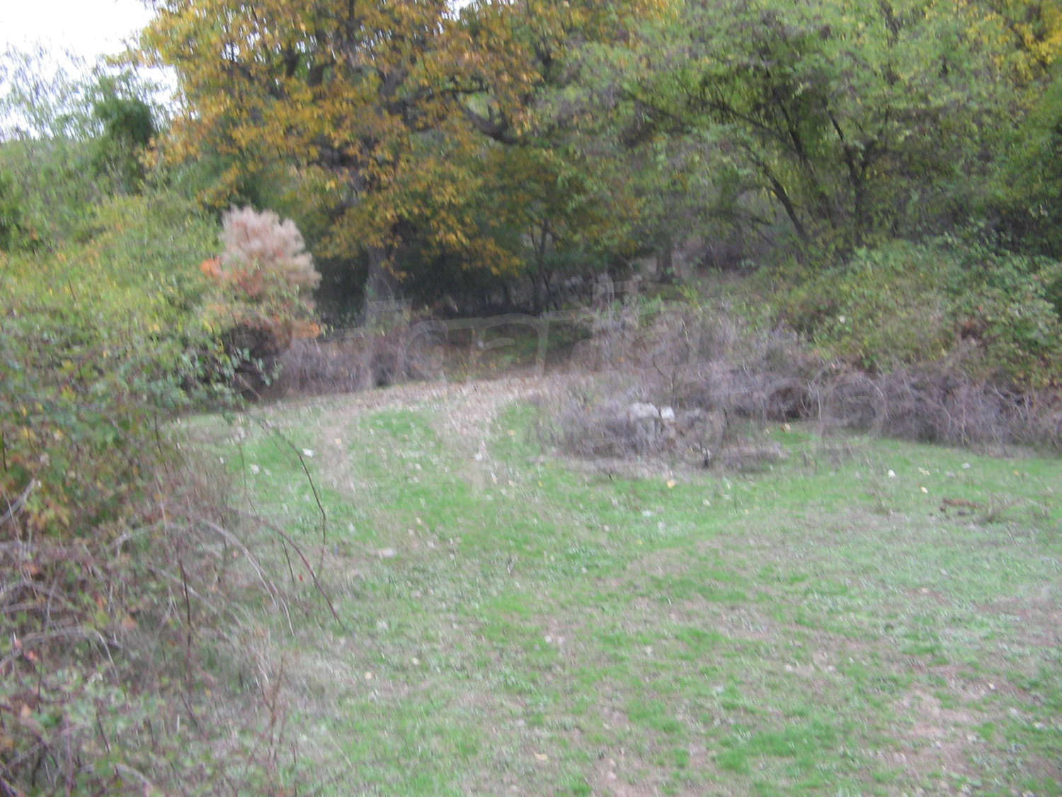 Gallery Picture 5