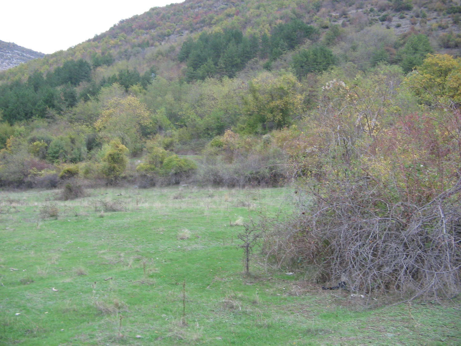 Gallery Picture 8