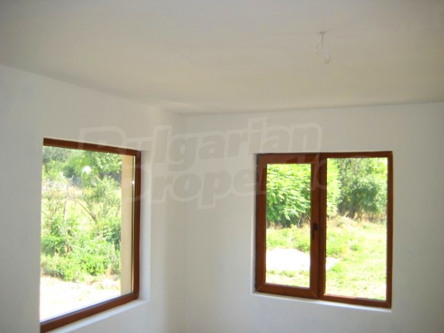 Gallery Picture 5
