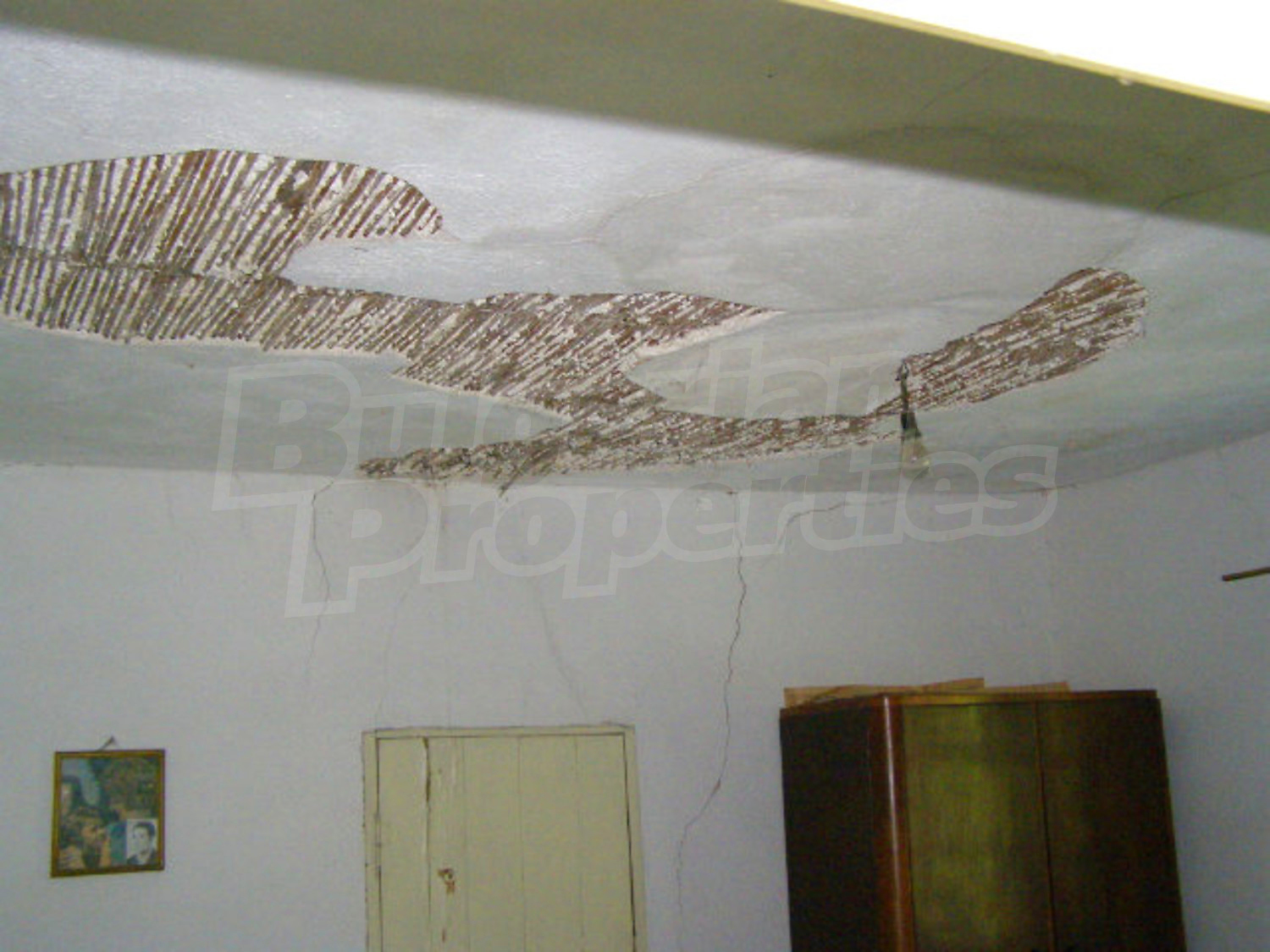 Gallery Picture 11