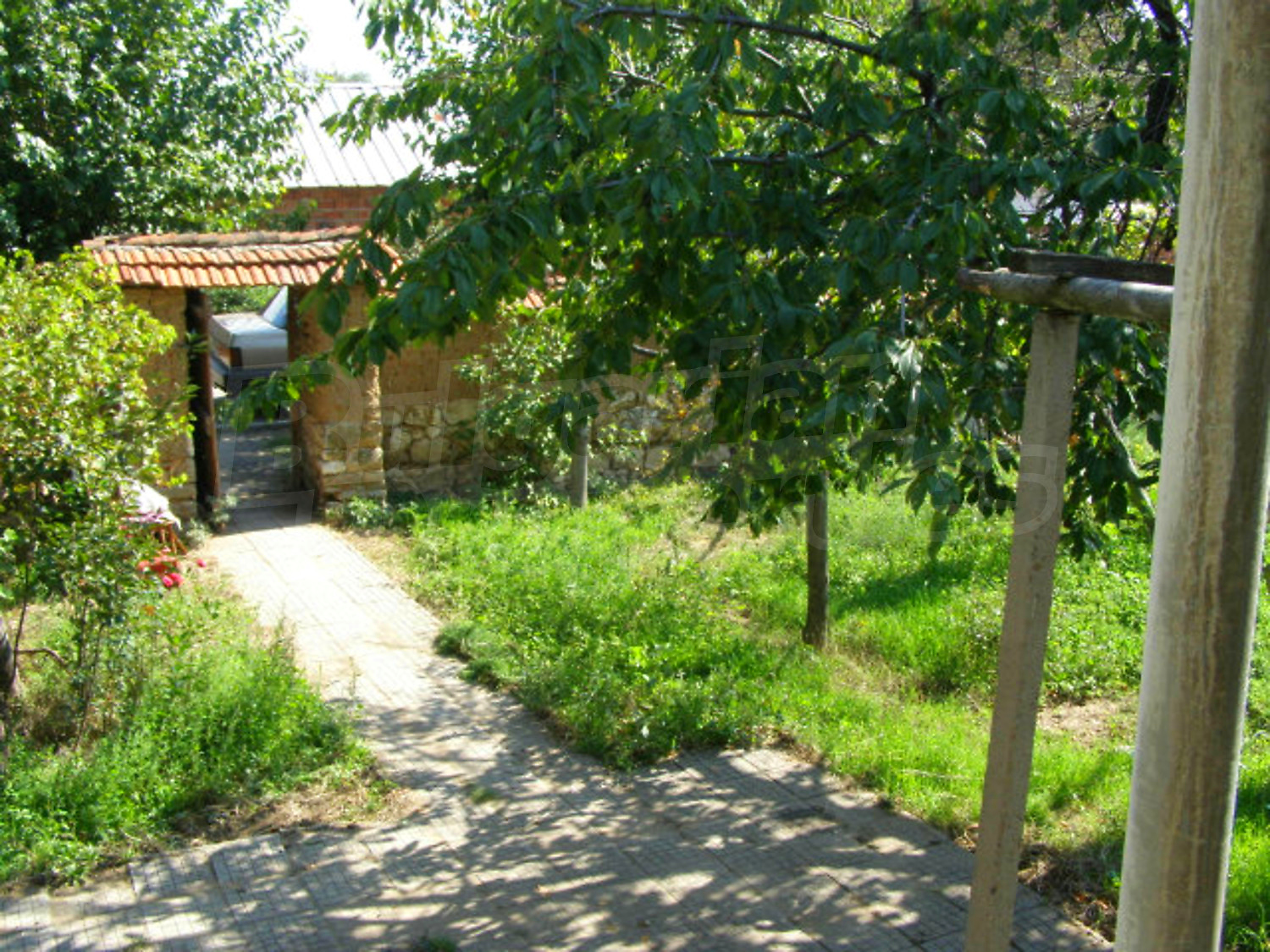 Gallery Picture 18
