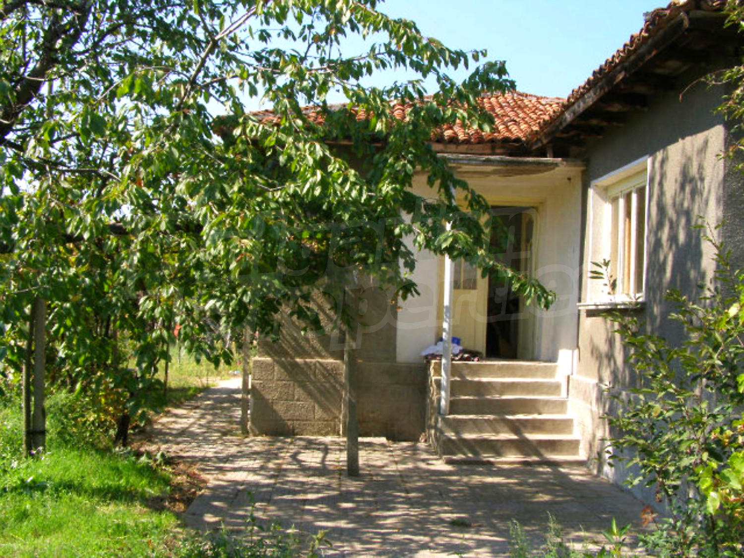 Gallery Picture 19
