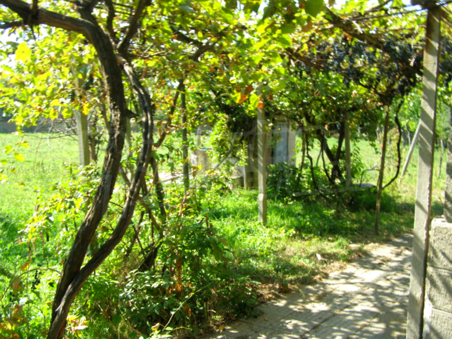 Gallery Picture 28