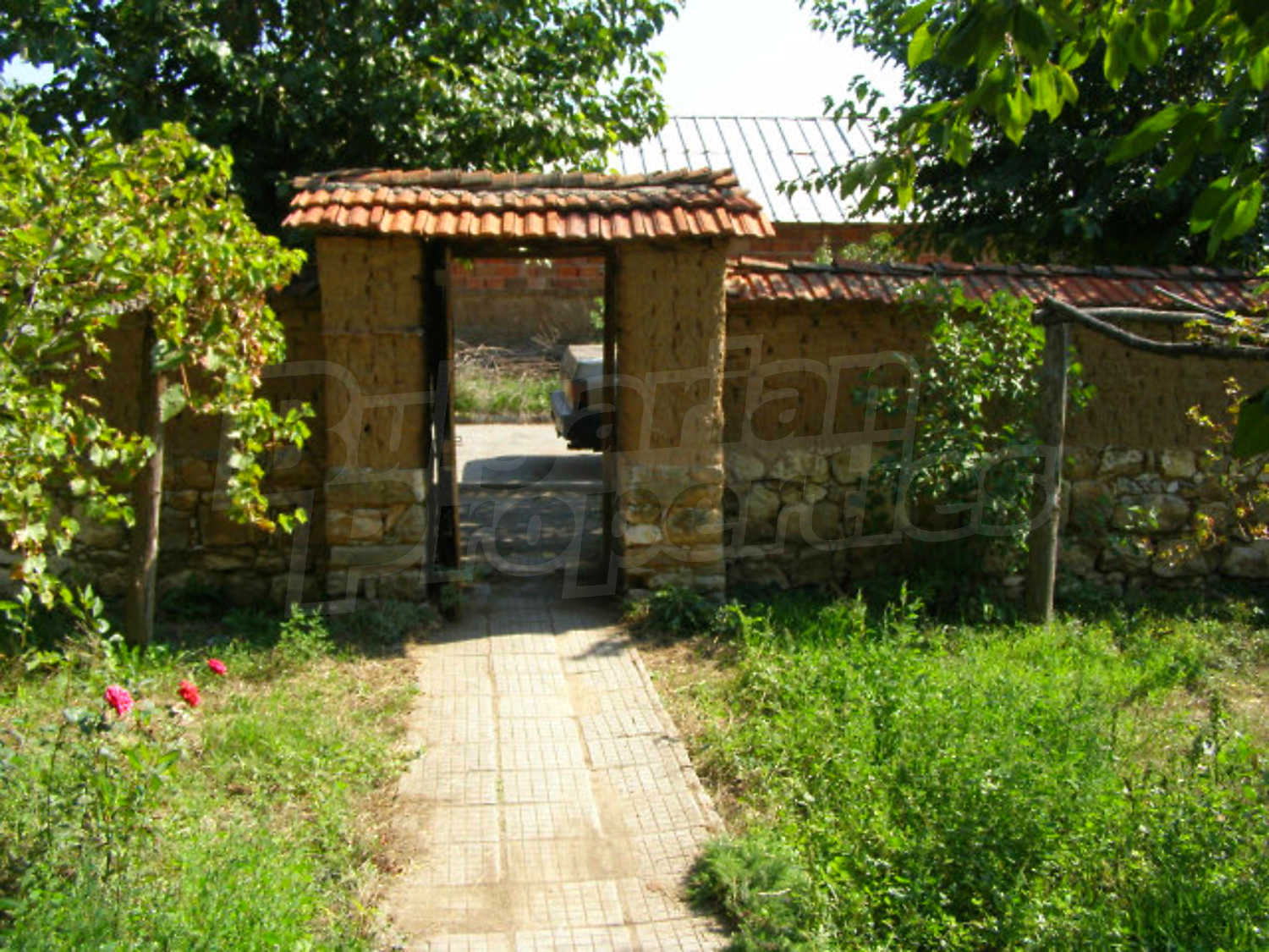 Gallery Picture 6