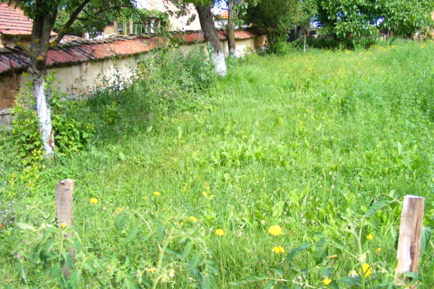 Gallery Picture 10