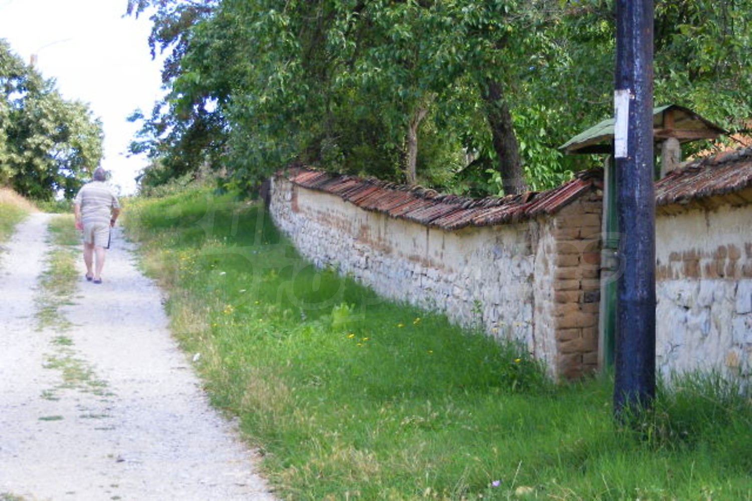 Gallery Picture 15