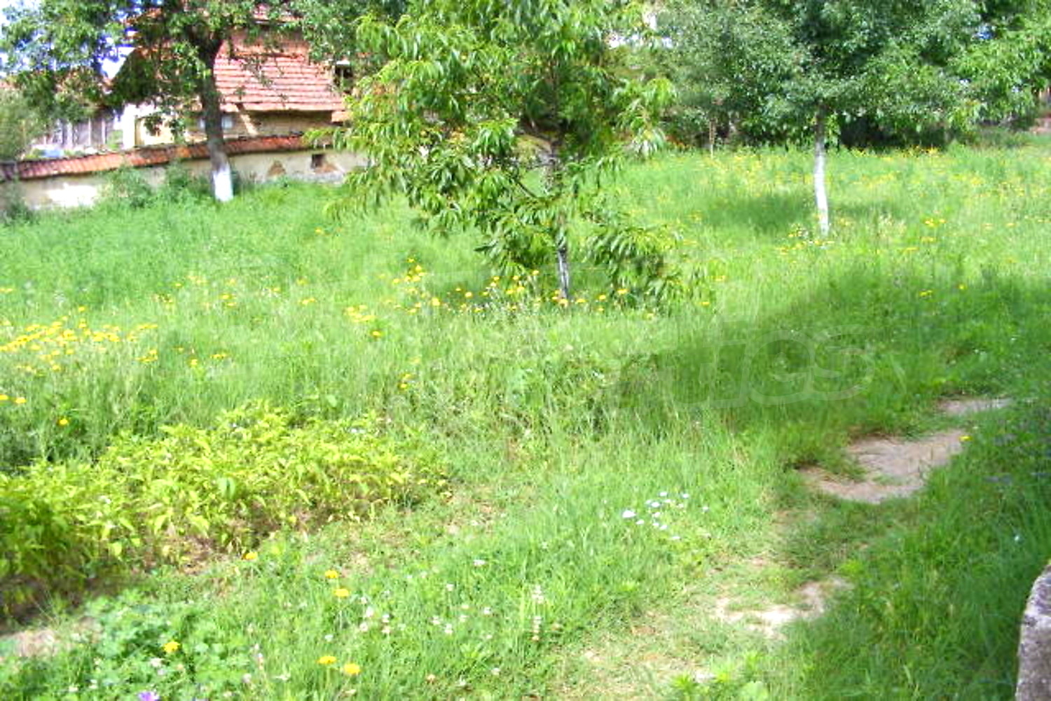 Gallery Picture 8