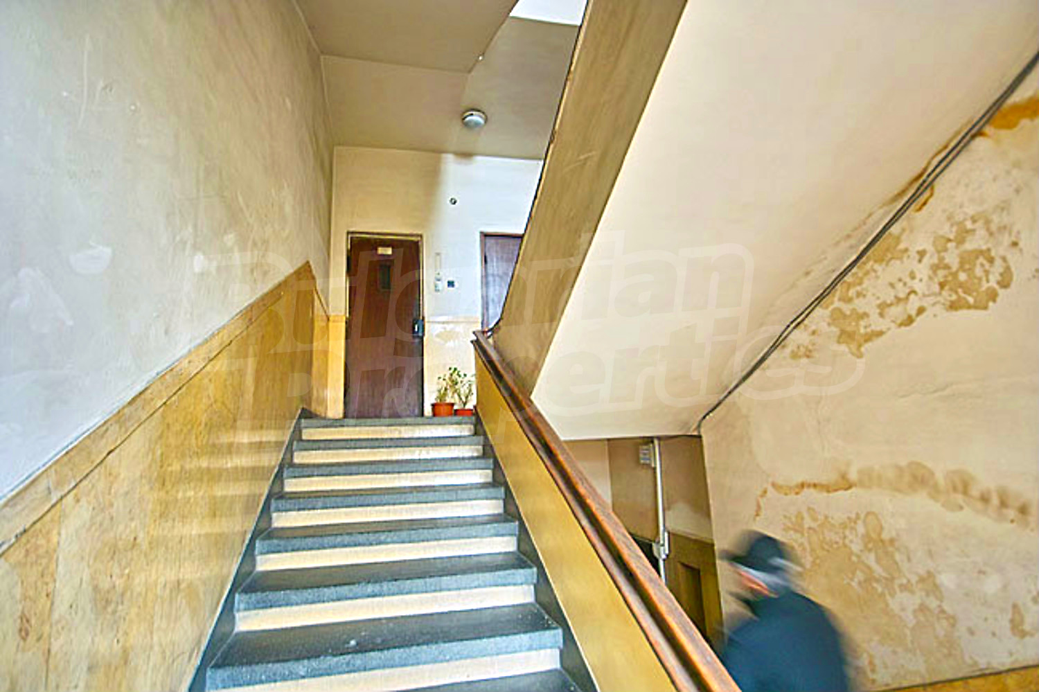 Gallery Picture 14