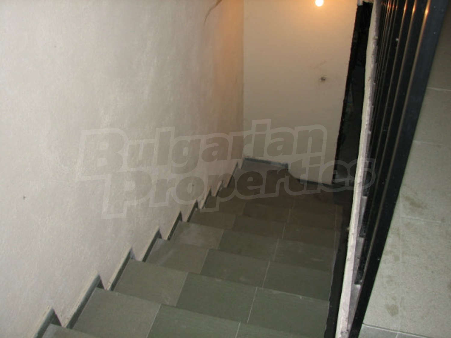 Gallery Picture 30