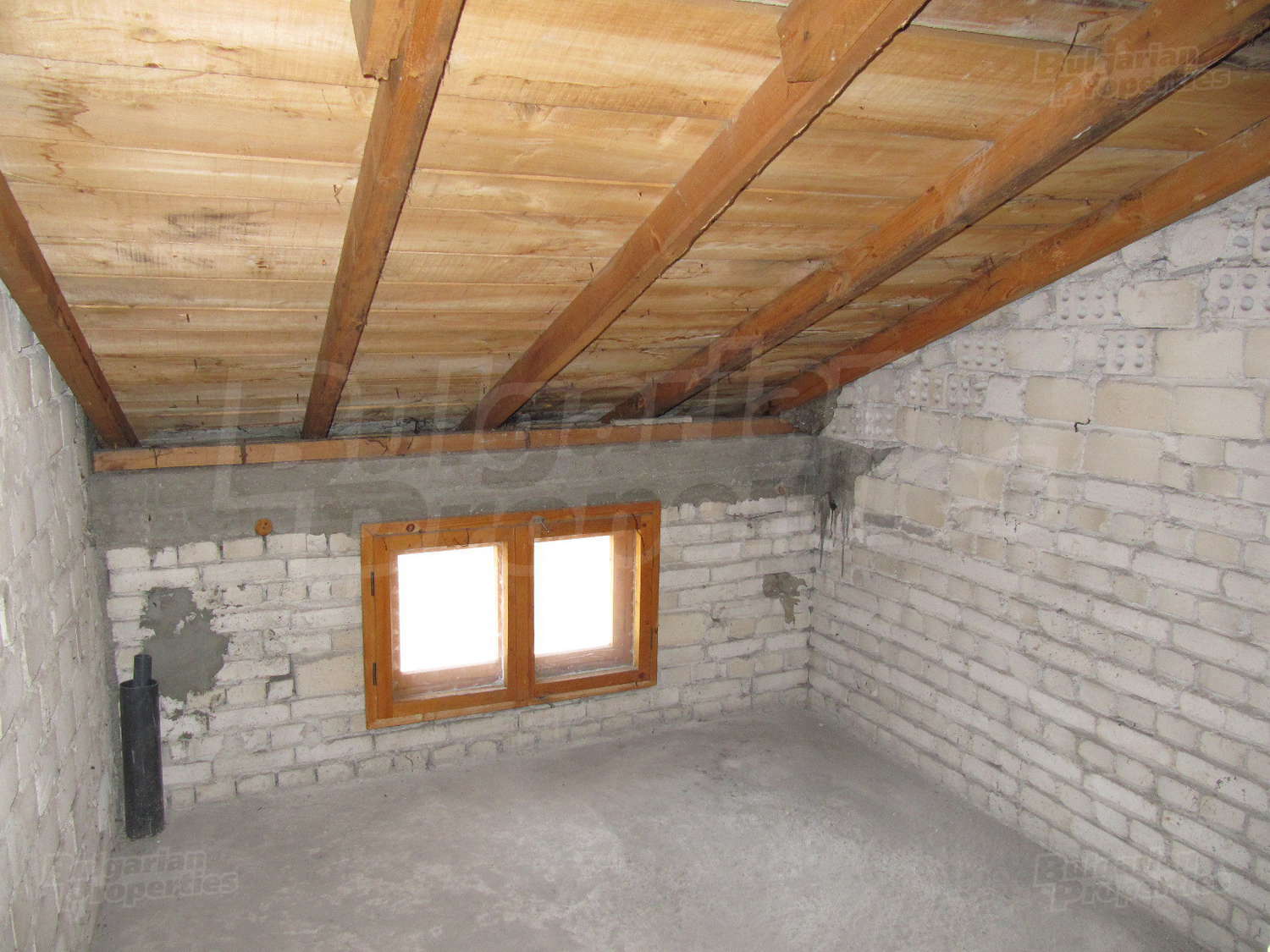 Gallery Picture 38